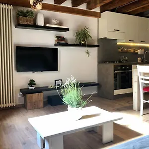 Vivi , Vicenza Italy